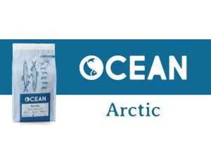 OCEAN ARCTIC 12KG